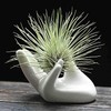 Dahey Air Plant Holder Cute Ceramic Mini Hand Shape Stand