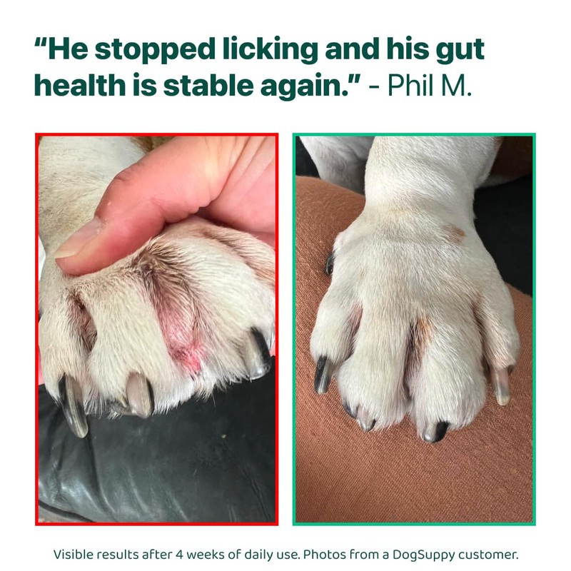 DogSuppy Itch Relief For Dogs – Relieves Itching, Scratching, Licking,