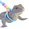 1 Pcs Lizard Harness - Adjustable Walking Harness & Leash