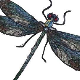Green Cute Dragonfly Delicate Embroidered Patches, Embroidery Patches, Iron On Patches, Sew On Applique Patch, Iron On Patches, Appliques, Dragonfly Embroidered, Embroidered Appliqué