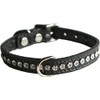 OmniPet Signature Leather Crystal Dog Collar, Black Crocodile Grain Leather,