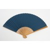 Hasegawa Kyō Fan, Kasumi, Kyoto Artisans, Handmade, Fan Bag Included,