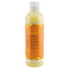 Aunt Jackie's Kids Heads Up Moisturizing and Hair Softening Shampoo