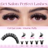 Wendy Lash Clusters Kit Packs: 980Pcs Eyelash Clusters for DIY