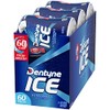 Dentyne Dentyne Ice Peppermint Sugar Free Gum, 6 Bottles of