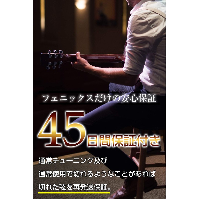 Phoenix Coated Strings, Acoustic Guitar Strings Phosphor Bronze, Transparent Sound,