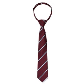 GHTIYLP Boys Tie Adjustable Ties for Boys 5-12 Pre-tied School Kids Ties Clip on Teen Necktie for Graduation Wedding Uniform (Burgundy Striped)