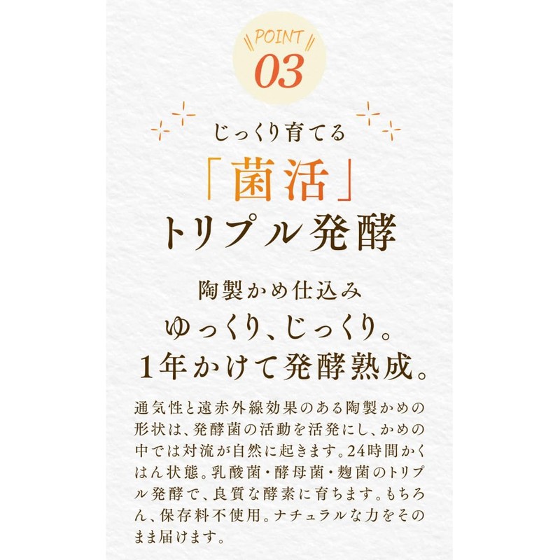 おひさましょうが 発酵めぐり酵素 ペーストタイプ 1ヶ月分 31包入