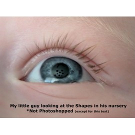 High Contrast Dinosaur Decals for Nursery - 10 Black Peel and Stick Indoor-Vinyl Decals/Stickers for Ceiling Or Wall | Dinosaurs Dinos | 10" (Dinosaurs, ~10 Inches)