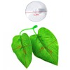 Zickupy 2Pack Beta Leaf Bed Fish Resting Leaf Betta Hammock
