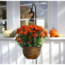 The HC Companies 11 Inch Hanging Metallic Planter - Round Hanging Basket for Indoor Outdoor Plants, Copper (Pack of 2)