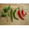Cayenne Pepper Chili Hot Spicy Seeds Vegetable for Planting Giant