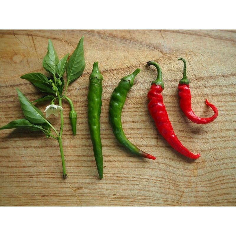 Cayenne Pepper Chili Hot Spicy Seeds Vegetable for Planting Giant