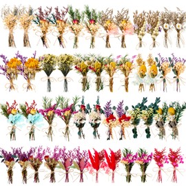 Tinideya 48 Pcs Dried Flowers Bouquet Boho Mini Dried Flower with Stem Small Dried Floral Plants Mixed Natural Flowers Bundles for Crafts Vase DIY Photo Props Wedding Decoration