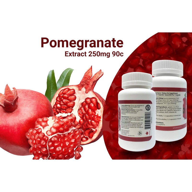 Pomegranate Extract 250mg 90c [1 bottle] by Total Natural, Kidney