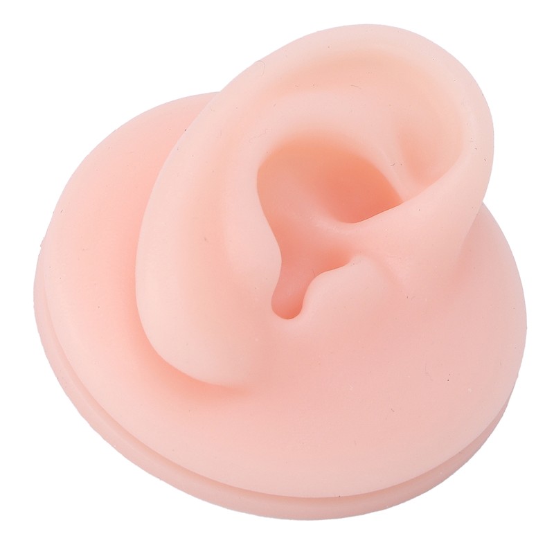 Professional Soft Silicone Ear Model Fake Ear Display Sample Ear