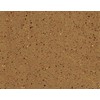 PROSOCO GemTone Stain | Translucent Color Dye for Interior Concrete