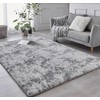 BRICHOEE Luxury Shag Area Rug, 3x5 Feet Tie Dyed Light