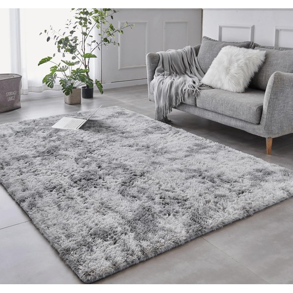 BRICHOEE Luxury Shag Area Rug, 3x5 Feet Tie Dyed Light