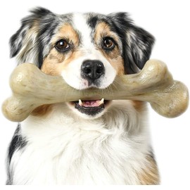 Pet Qwerks Dinosaur BarkBone Dog Chew Toy, Real Bacon Infused, XXLarge, DBB2