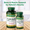 Calcium & Vitamin D by Nature's Bounty, Immune Support &