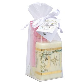 The Grecian Soap Set de regalo en tubo de jabón y loción griegos con aroma a plumeria: lujoso set de jabón y loción con leche de cabra, regalo ideal p