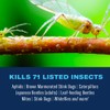 BioAdvanced Complete Brand Insect Killer for Soil and Turf I,