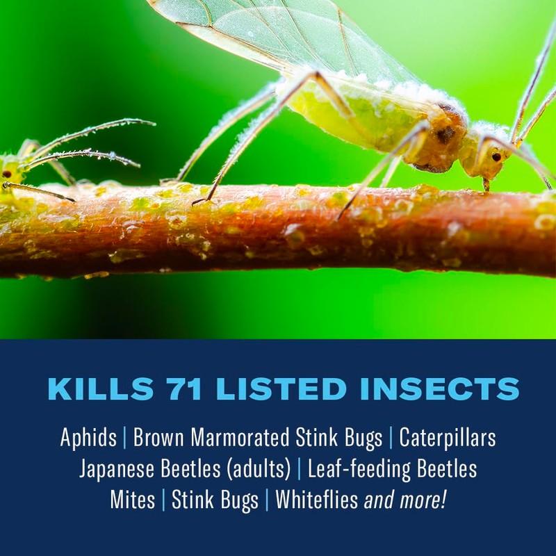 BioAdvanced Complete Brand Insect Killer for Soil and Turf I,