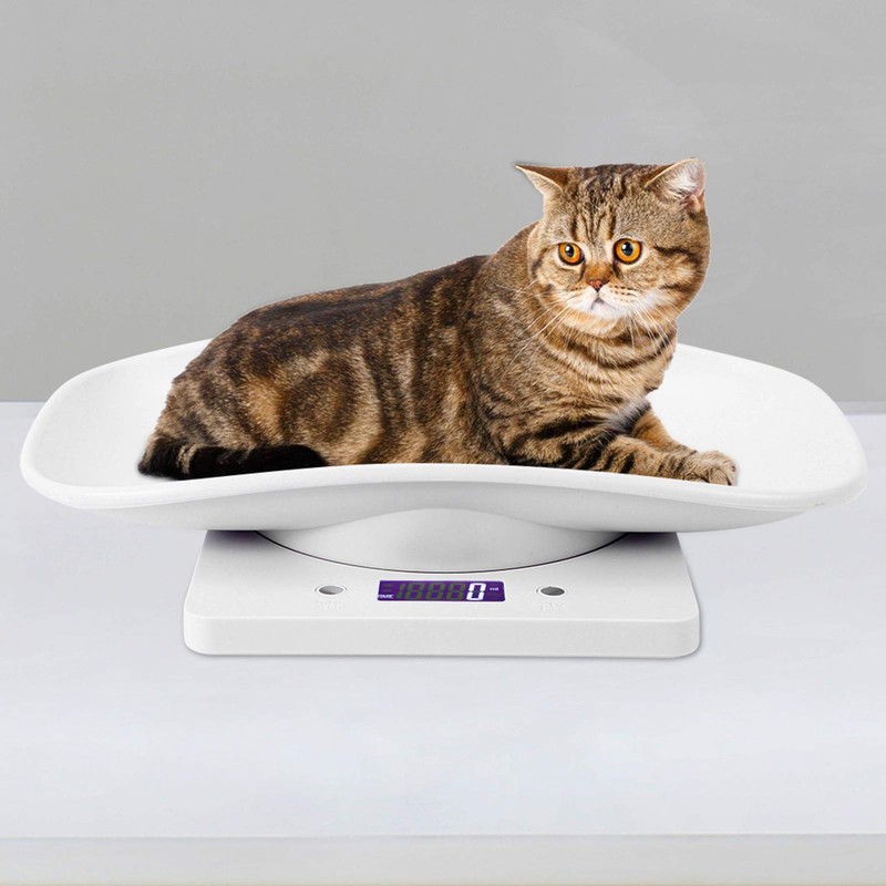 Digital Pet Scale, Multifunctional Electronic Scales Pet Scales 10kg/1g Digital