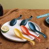 Evanda Soup Spoon, ECO Friendly Dinner Spoon,Made of Food Grade