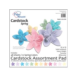 PA Paper Accents Paper Accents Assortment Cardstock Pad