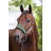 LeMieux Vogue Fleece Headcollar with Lead Rope in Hunter Green