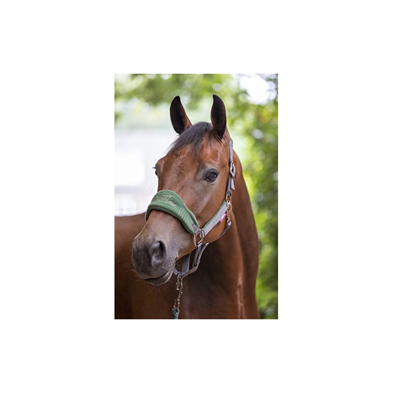LeMieux Vogue Fleece Headcollar with Lead Rope in Hunter Green