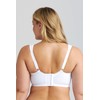Miss Mary of Sweden Tshirt Bra for Women - Seamless