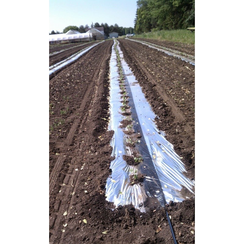 Silver Metallic Plastic Mulch 4 Ft X 50 Ft 1.0