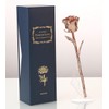 Ejoyous 24K Gold Foil Trim Rose Gift for Her, Gold Silver Rose Gold Plating Rose