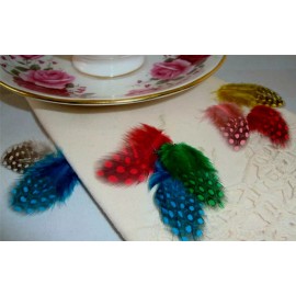 Pretty-Plumes Mixed Spotted Guinea Hen Feathers Neck Body Plumage Smallies Jewelry 2" 40 Pc