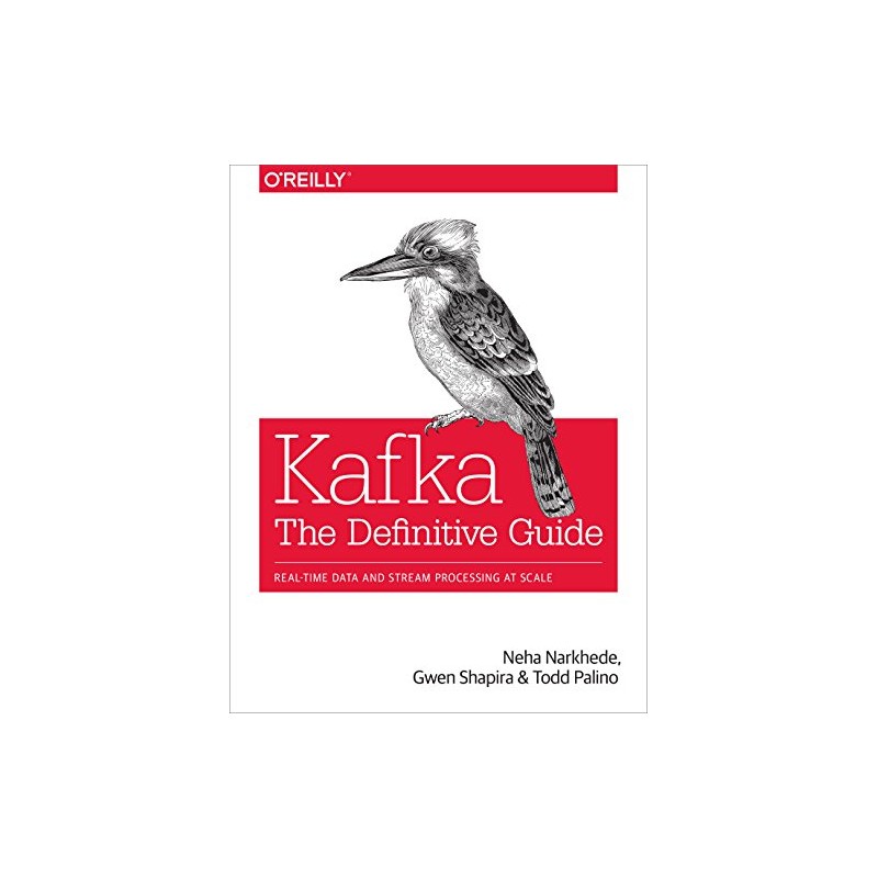 Kafka: The Definitive Guide: Real-Time Data and Stream Processing at