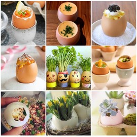 Gourmet Eierköpfer,Eieröffner Egg Topper Cutter,Eierschneider, Profi-Eierteiler, Kitchen Craft Eierköpfer aus Edelstahl Zeitsparender Eierschneider für die Versorgung mit Küchenwerkzeugen