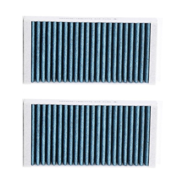 RIDEX Plus Cabin Air Filter Activated Carbon with Polyphenol 424I0619P