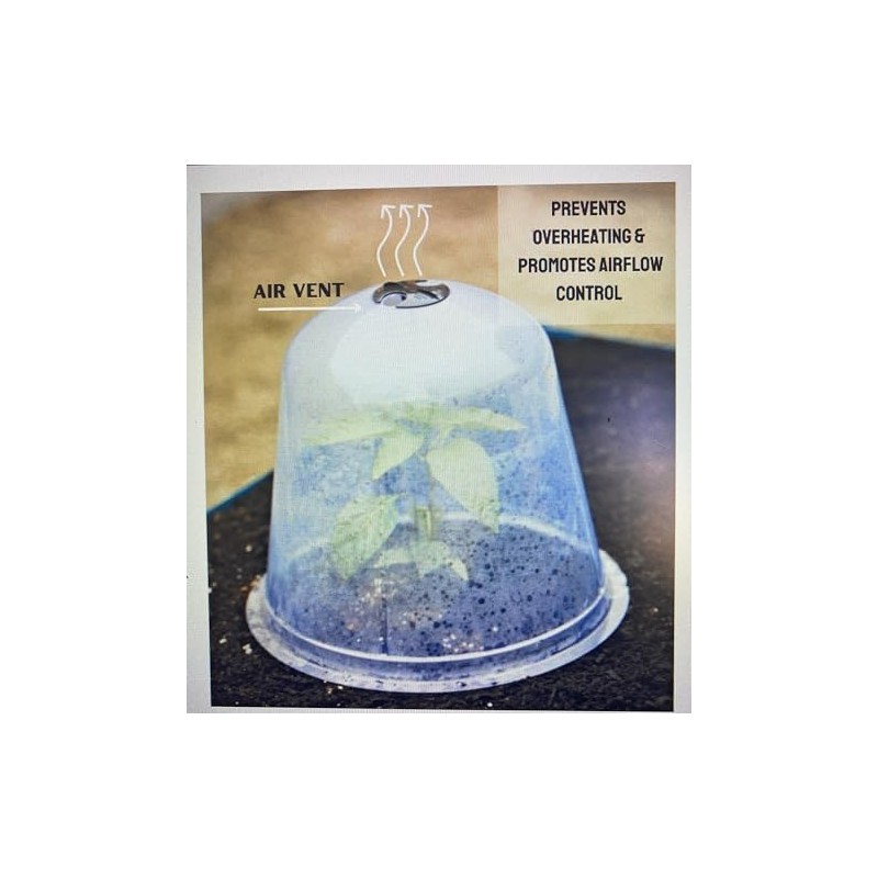 Cloche Plant Protector Clear Bell (5-Pack) Each 8in x10in Pre