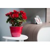 Santino ASTI Set of 3 18 cm Self-Watering Flower Pots