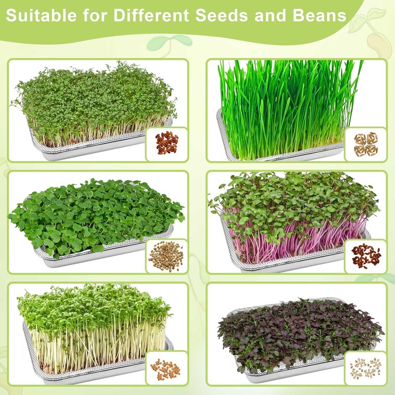 TCYPUHL Stainless Steel Sprouts Growing Kit 4-Tier 10.4 inch Trays,