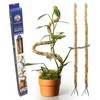 SuperMoss (22064) Bendable Moss Poles, Monstera Climbing Plant Support Stakes,