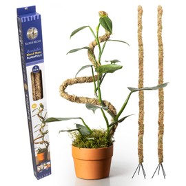 SuperMoss (22064) Bendable Moss Poles, Monstera Climbing Plant Support Stakes, 36", Blonde, 2pk