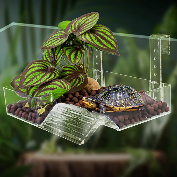 xixibuy Turtle Dock Floating, Turtle Terrarium for Turtle Lovers, Turtle