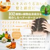 Ginza Marukan Megamasa Hair Lotion, 4.9 fl oz (140 ml),