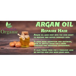 Argan Hair Oil Treatment - Hydrating Hair Treatment - Repair, Restore Shine, Moisturize - Nourishing Treatment - 4 oz