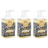 Michel Design Works Foaming Hand Soap, 17.8-Ounce, Honey Almond -