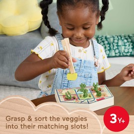 Fisher-Price Wood Preschool Toy Sorting Greenhouse, Tiny Garden Wooden Activity for Fine Motor Developmental Play Kids Ages 3+ Years (Amazon Exclusive)